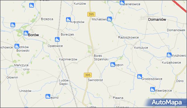 mapa Borek Strzeliński, Borek Strzeliński na mapie Targeo