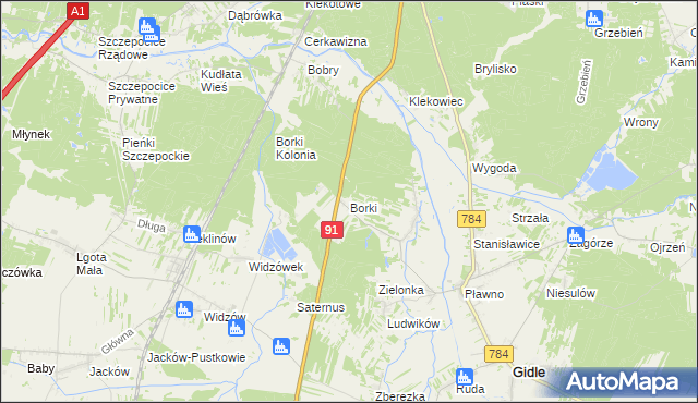 mapa Borki gmina Gidle, Borki gmina Gidle na mapie Targeo