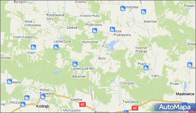 mapa Borki gmina Masłowice, Borki gmina Masłowice na mapie Targeo