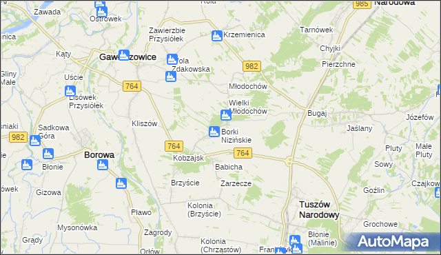 mapa Borki Nizińskie, Borki Nizińskie na mapie Targeo