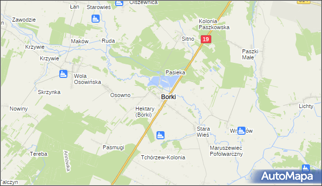 mapa Borki powiat radzyński, Borki powiat radzyński na mapie Targeo