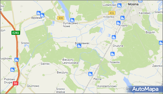 mapa Borkowice gmina Mosina, Borkowice gmina Mosina na mapie Targeo