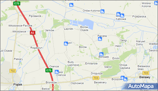 mapa Borów gmina Bielawy, Borów gmina Bielawy na mapie Targeo