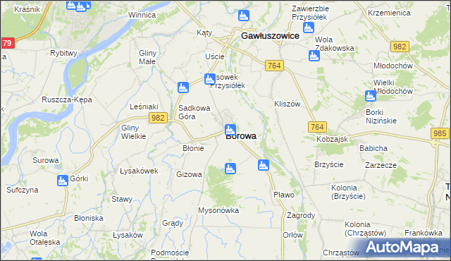 mapa Borowa powiat mielecki, Borowa powiat mielecki na mapie Targeo