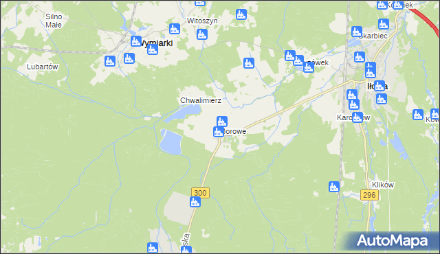 mapa Borowe gmina Iłowa, Borowe gmina Iłowa na mapie Targeo