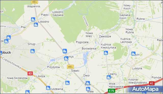 mapa Borowianka, Borowianka na mapie Targeo