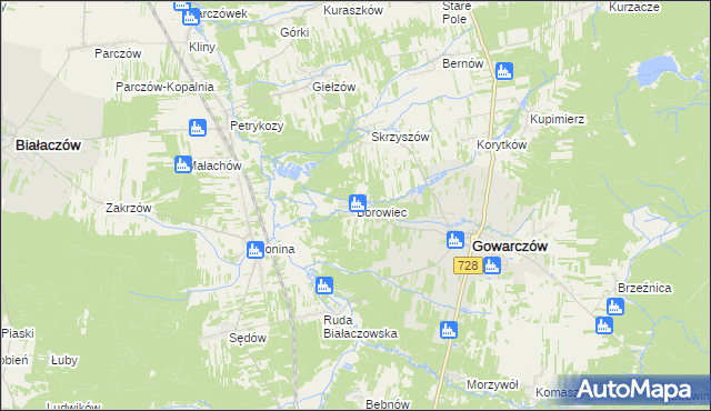 mapa Borowiec gmina Gowarczów, Borowiec gmina Gowarczów na mapie Targeo