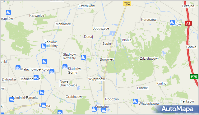 mapa Borowiec gmina Piątek, Borowiec gmina Piątek na mapie Targeo