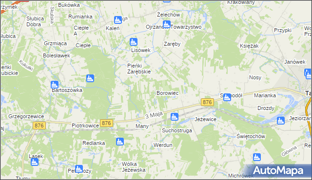 mapa Borowiec gmina Tarczyn, Borowiec gmina Tarczyn na mapie Targeo