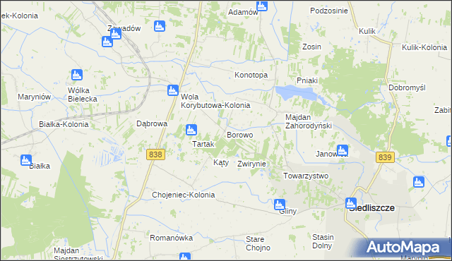 mapa Borowo gmina Siedliszcze, Borowo gmina Siedliszcze na mapie Targeo