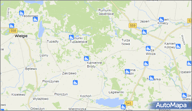 mapa Borowo gmina Tłuchowo, Borowo gmina Tłuchowo na mapie Targeo