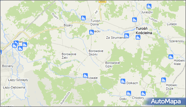 mapa Borowskie Michały, Borowskie Michały na mapie Targeo