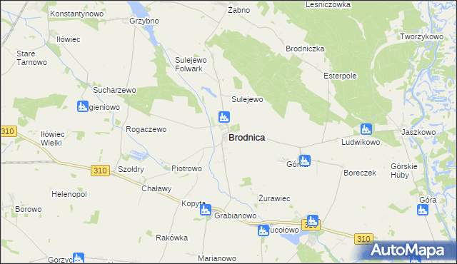 mapa Brodnica powiat śremski, Brodnica powiat śremski na mapie Targeo