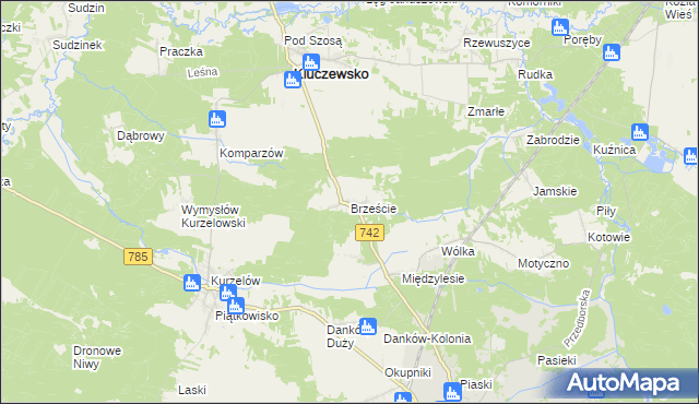 mapa Brzeście gmina Kluczewsko, Brzeście gmina Kluczewsko na mapie Targeo