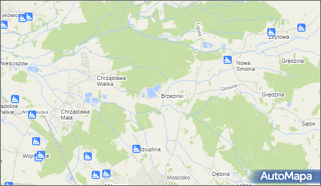 mapa Brzezinki gmina Jelcz-Laskowice, Brzezinki gmina Jelcz-Laskowice na mapie Targeo