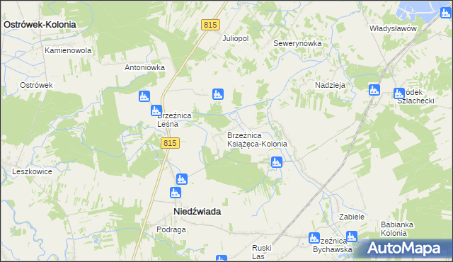 mapa Brzeźnica Książęca-Kolonia, Brzeźnica Książęca-Kolonia na mapie Targeo