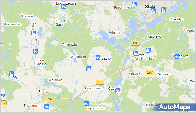 mapa Brzeźno gmina Skoki, Brzeźno gmina Skoki na mapie Targeo