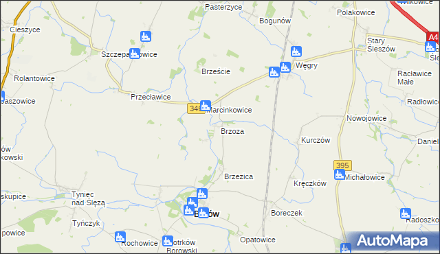 mapa Brzoza gmina Borów, Brzoza gmina Borów na mapie Targeo