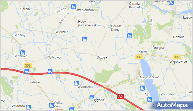 mapa Brzoza gmina Duszniki, Brzoza gmina Duszniki na mapie Targeo
