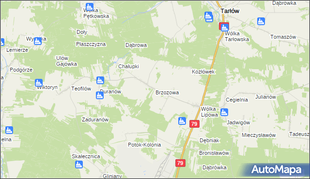 mapa Brzozowa gmina Tarłów, Brzozowa gmina Tarłów na mapie Targeo