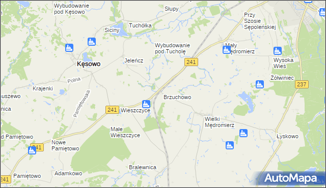 mapa Brzuchowo, Brzuchowo na mapie Targeo