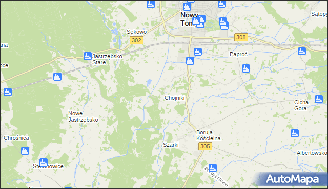 mapa Chojniki gmina Nowy Tomyśl, Chojniki gmina Nowy Tomyśl na mapie Targeo