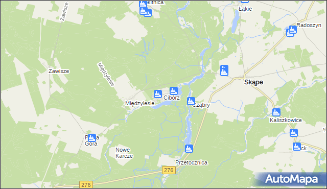 mapa Cibórz gmina Skąpe, Cibórz gmina Skąpe na mapie Targeo