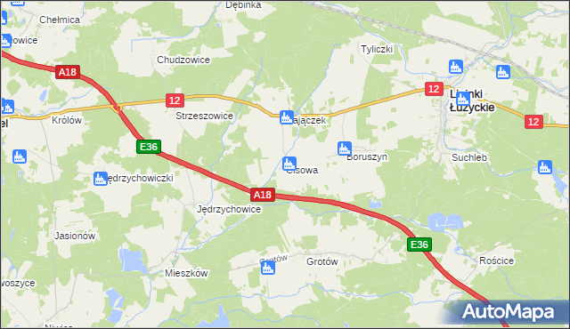 mapa Cisowa gmina Lipinki Łużyckie, Cisowa gmina Lipinki Łużyckie na mapie Targeo