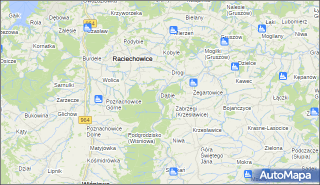 mapa Dąbie gmina Raciechowice, Dąbie gmina Raciechowice na mapie Targeo