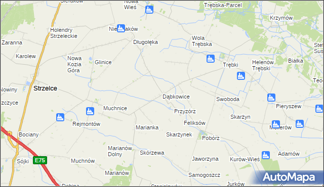 mapa Dąbkowice gmina Strzelce, Dąbkowice gmina Strzelce na mapie Targeo