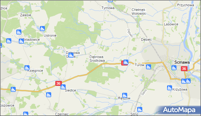 mapa Dąbrowa Dolna gmina Ścinawa, Dąbrowa Dolna gmina Ścinawa na mapie Targeo