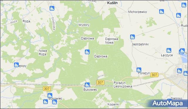 mapa Dąbrowa gmina Opalenica, Dąbrowa gmina Opalenica na mapie Targeo