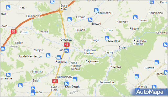 mapa Dąbrowa Miętka, Dąbrowa Miętka na mapie Targeo