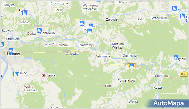 mapa Dąbrowica gmina Ulanów, Dąbrowica gmina Ulanów na mapie Targeo