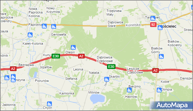 mapa Dąbrowice Częściowe, Dąbrowice Częściowe na mapie Targeo