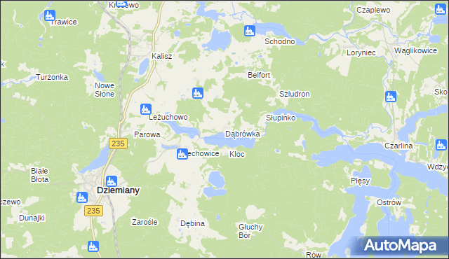 mapa Dąbrówka gmina Dziemiany, Dąbrówka gmina Dziemiany na mapie Targeo