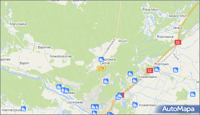 mapa Dąbrówka Leśna, Dąbrówka Leśna na mapie Targeo