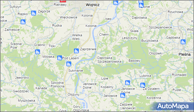 mapa Dąbrówka Szczepanowska, Dąbrówka Szczepanowska na mapie Targeo