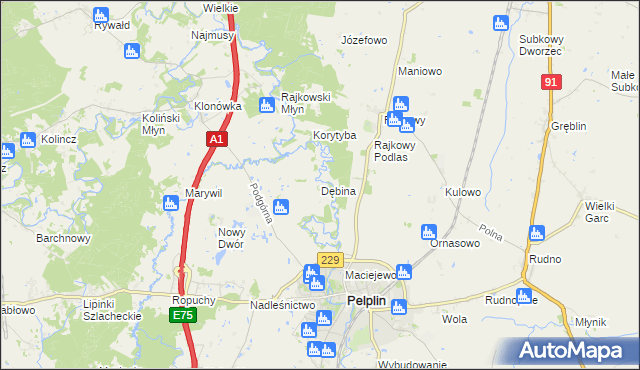 mapa Dębina gmina Pelplin, Dębina gmina Pelplin na mapie Targeo