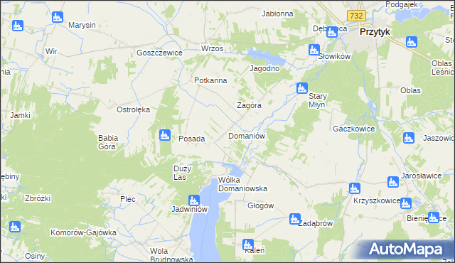 mapa Domaniów gmina Przytyk, Domaniów gmina Przytyk na mapie Targeo