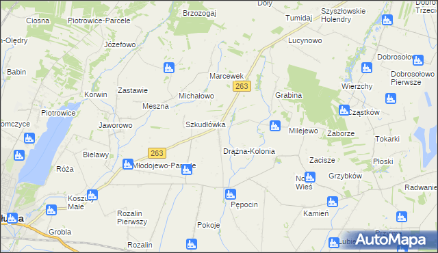 mapa Drążna, Drążna na mapie Targeo