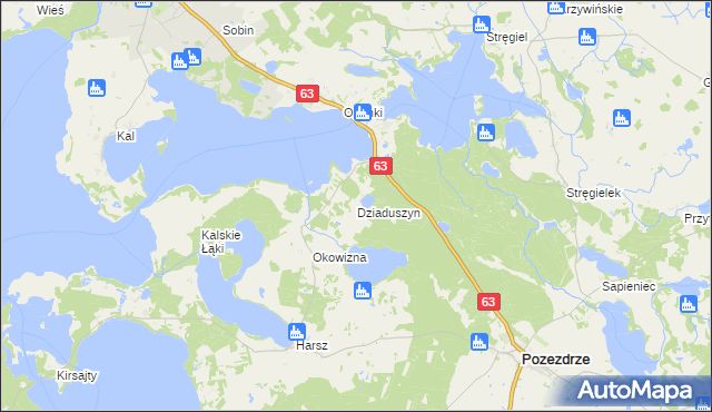 mapa Dziaduszyn, Dziaduszyn na mapie Targeo