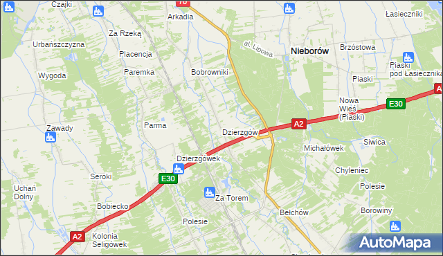 mapa Dzierzgów gmina Nieborów, Dzierzgów gmina Nieborów na mapie Targeo