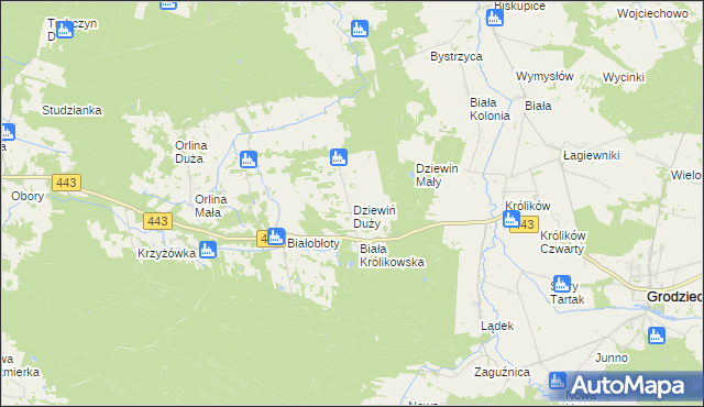 mapa Dziewiń Duży, Dziewiń Duży na mapie Targeo