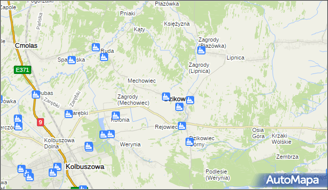 mapa Dzikowiec powiat kolbuszowski, Dzikowiec powiat kolbuszowski na mapie Targeo