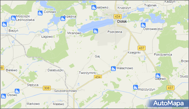 mapa Gaj gmina Gostyń, Gaj gmina Gostyń na mapie Targeo