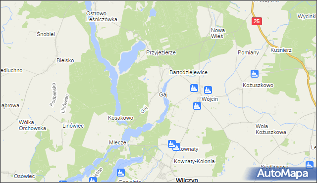 mapa Gaj gmina Jeziora Wielkie, Gaj gmina Jeziora Wielkie na mapie Targeo