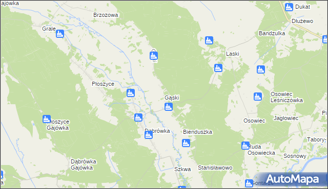 mapa Gąski gmina Lelis, Gąski gmina Lelis na mapie Targeo