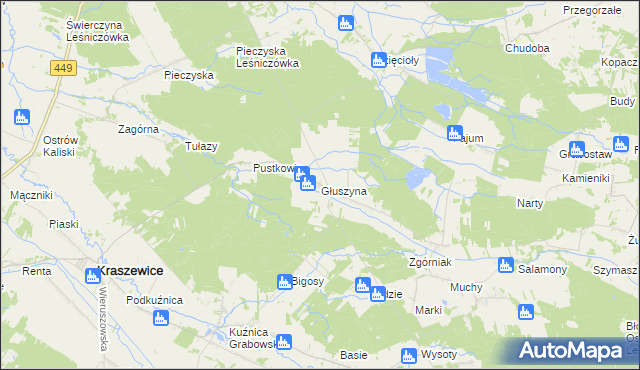 mapa Głuszyna gmina Kraszewice, Głuszyna gmina Kraszewice na mapie Targeo