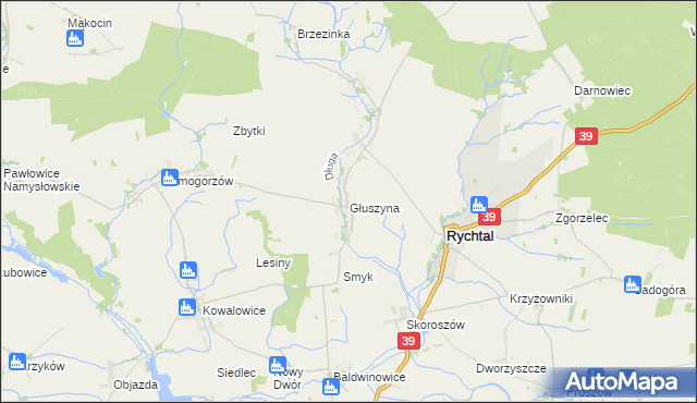 mapa Głuszyna gmina Namysłów, Głuszyna gmina Namysłów na mapie Targeo